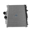 Intercooler, échangeur DT 4.63716 - Visuel 1
