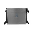 Radiateur, refroidissement du moteur DT 4.63713 - Visuel 1