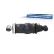 Amortisseur, suspension de la cabine DT 4.62843 - Visuel 1