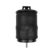 Ressort pneumatique, suspension pneumatique DT 7.12041 - Visuel 1