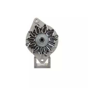 Alternateur BV PSH 815.019.070.090