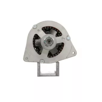 Alternateur BV PSH 596.002.030.320