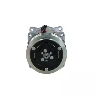 Compresseur, climatisation BV PSH 090.575.095.905