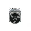 Compresseur, climatisation BV PSH 090.555.170.905 - Visuel 1
