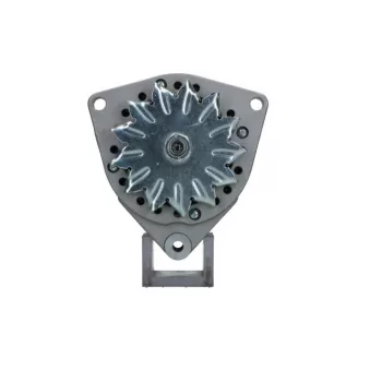 Alternateur BV PSH 556.011.030.010