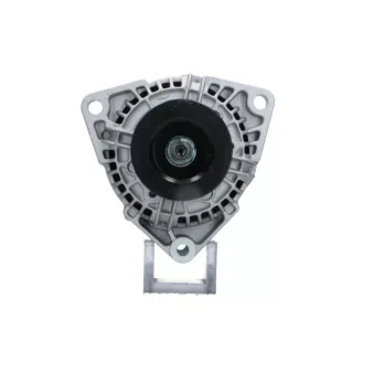 Alternateur BV PSH 556.524.080.010