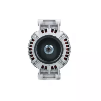 Alternateur BV PSH 556.527.100.010