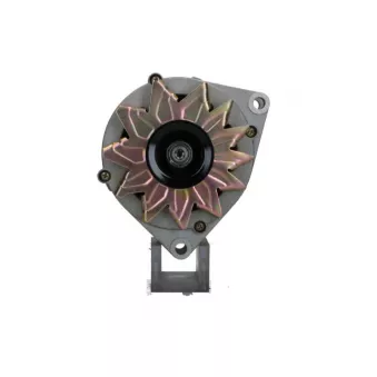 Alternateur BV PSH 555.018.100.311