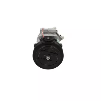 Compresseur, climatisation BV PSH 090.915.005.907