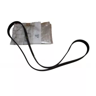 Courroie trapézoïdale d'accessoires OE 5750YR