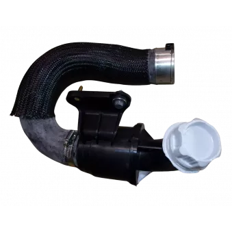 Tuyau d'aspiration, alimentation d'air OE 9813408180