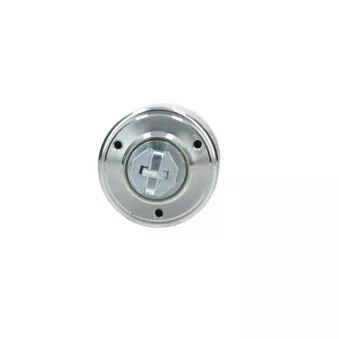 Contacteur, démarreur BV PSH 054.000.015.016