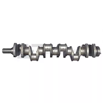 Vilebrequin ET ENGINETEAM