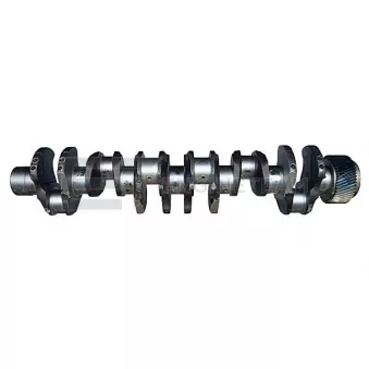 Vilebrequin ET ENGINETEAM