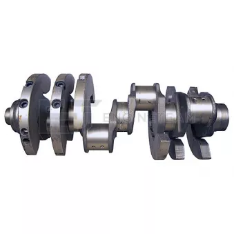 Vilebrequin ET ENGINETEAM