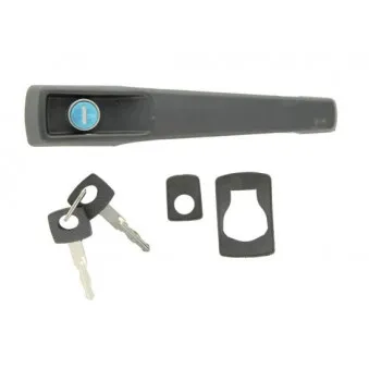 Poignée extérieure de porte   BLIC 6010-02-011405P