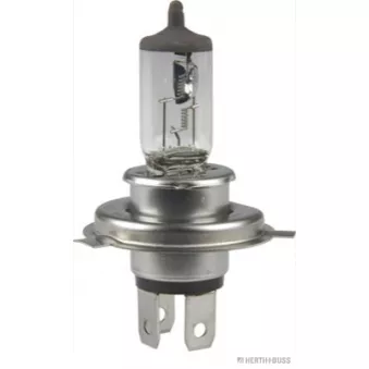 Ampoule, projecteur longue portée HERTH+BUSS ELPARTS 89901098