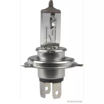 Ampoule, projecteur longue portée HERTH+BUSS ELPARTS 89901050