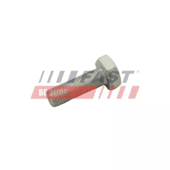 Vis, disque de frein FAST FT30601