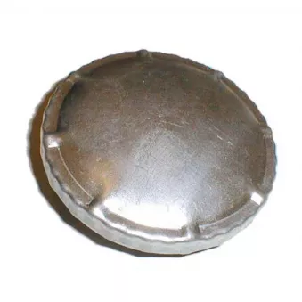 Bouchon, réservoir de carburant BLAU T36