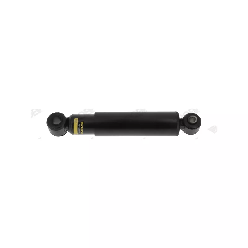 Jeu de 2 amortisseurs arrière MONROE T5437