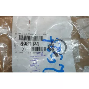 Borne ou cosse de batterie OE 6981P4