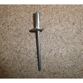 Rivet OE 6973A2