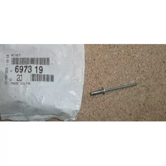 RIVET OE 697319
