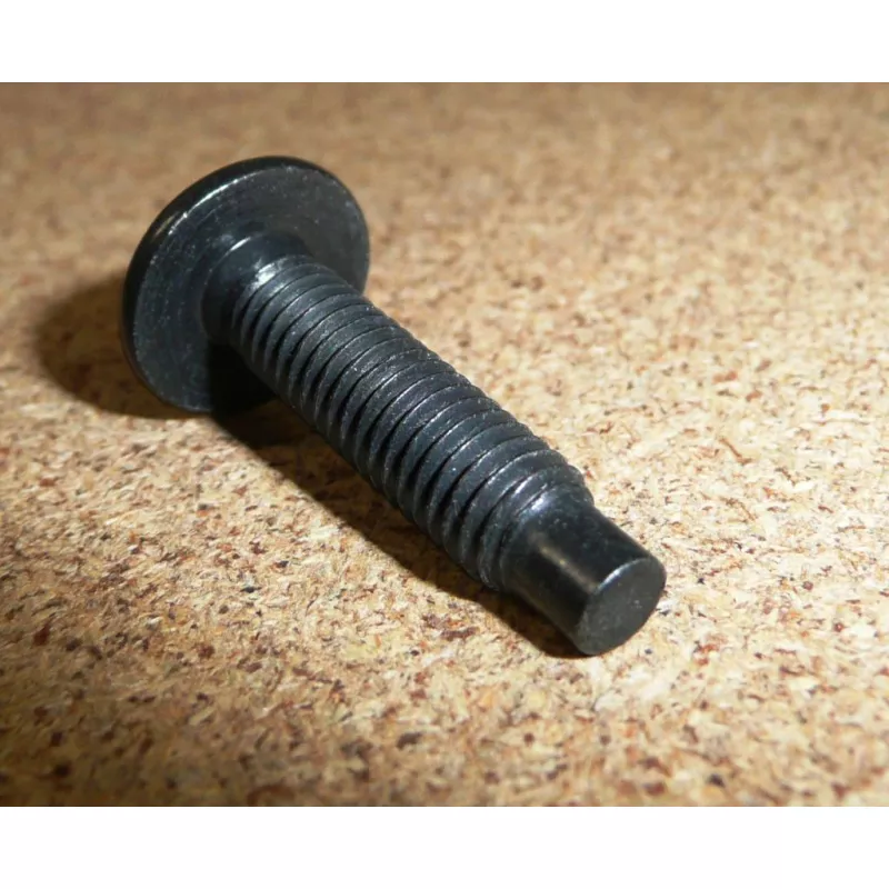 Vis rlx OE 6924G0 - Visuel 2