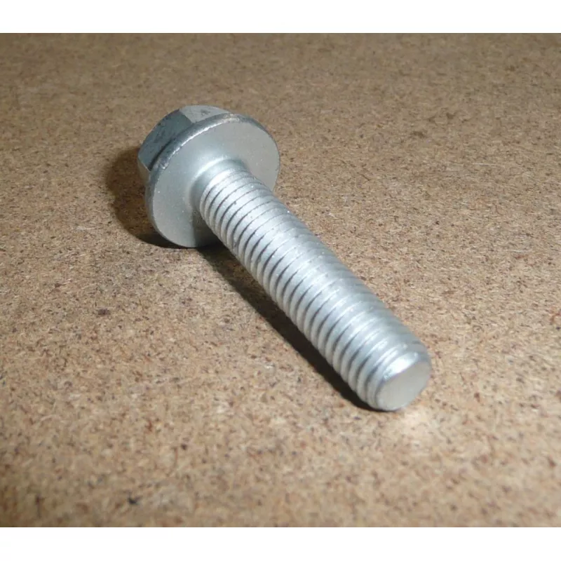 boulon de carter d'huile OE 0250A1 - Visuel 2