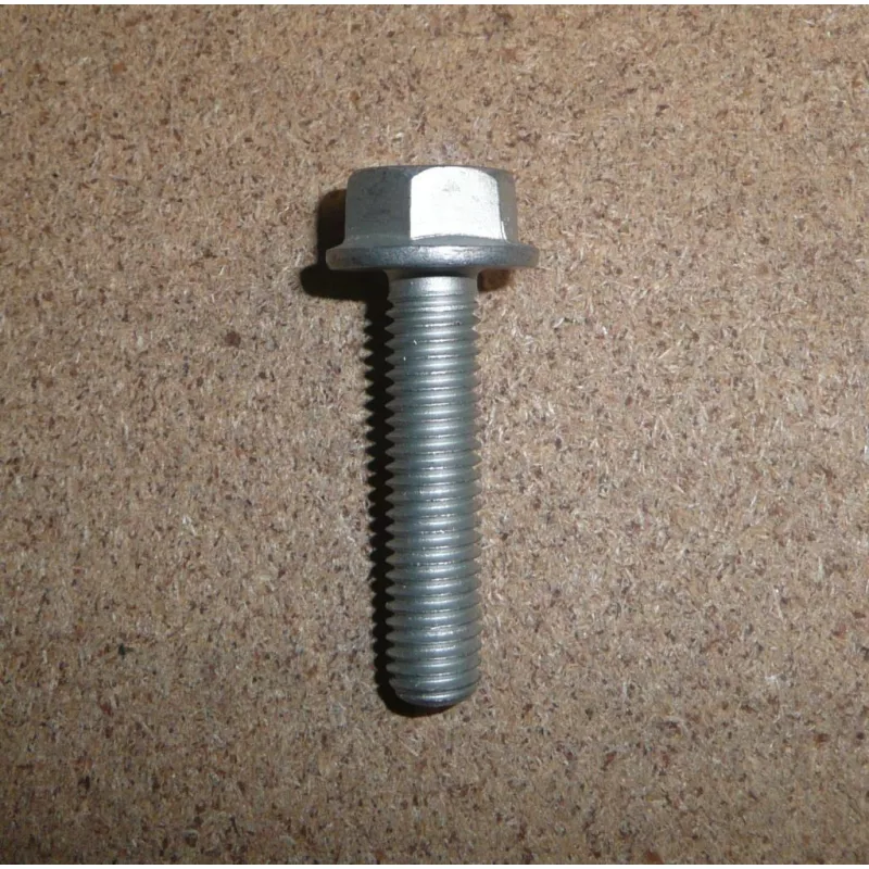 boulon de carter d'huile OE 0250A1 - Visuel 1