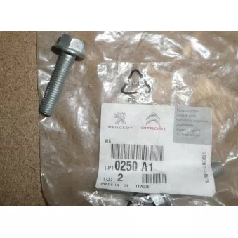 boulon de carter d'huile OE 0250A1