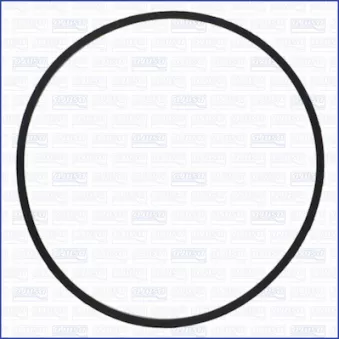 Joint d'étanchéité, carter de collecteur d'admission AJUSA