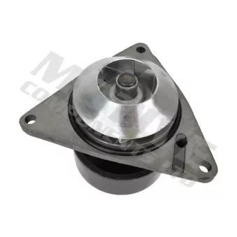 Pompe à eau MOTIVE WP2264