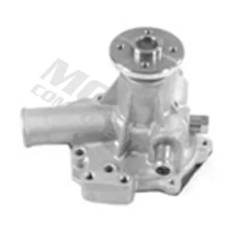 Pompe à eau MOTIVE WP3615