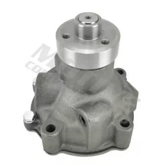 Pompe à eau MOTIVE WP3449