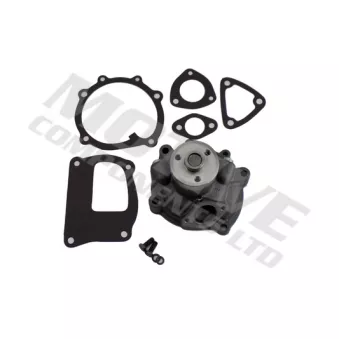 Pompe à eau MOTIVE WP3536