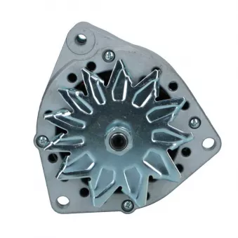 Alternateur BV PSH 715.004.090.019