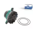 Pompe à eau DT 2.15244 - Visuel 1