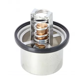 Thermostat, liquide de refroidissement DT 2.15071