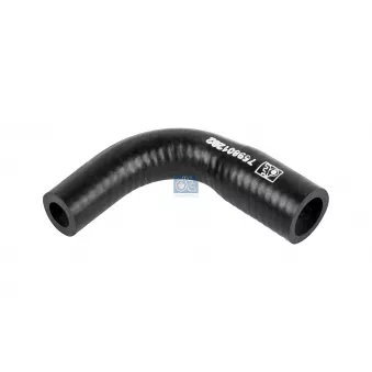 Durite de radiateur DT 2.15706