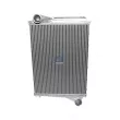 Intercooler, échangeur DT 2.15787 - Visuel 1