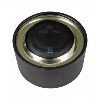 Poulie renvoi/transmission, courroie trapézoïdale à nervures DT