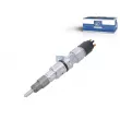 Injecteur DT 2.11250 - Visuel 1
