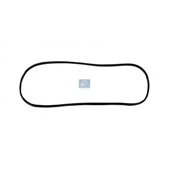 Joint, couverle de carter (carter de vilebrequin) DT 2.10263