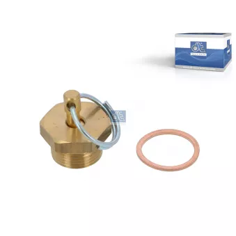 Valve de purge DT 2.44031