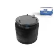 Ressort pneumatique, suspension pneumatique DT 2.61566 - Visuel 1