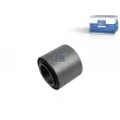 Silent bloc de suspension (train avant) DT 2.60001 - Visuel 1