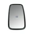 Rétroviseur extérieur, cabine DT 2.73019 - Visuel 1