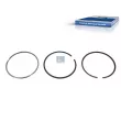 Jeu de segments de pistons DT 2.94579 - Visuel 1